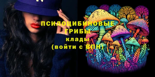 MDMA Медногорск