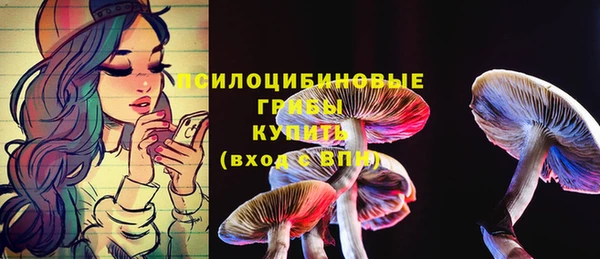 jwh Медвежьегорск