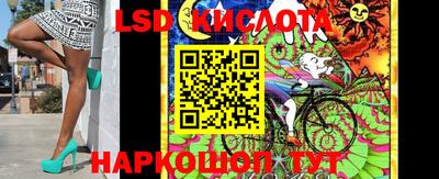 МДПВ Новозыбков