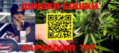 МДПВ Новозыбков