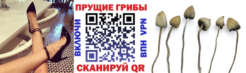 Галлюциногенные грибы Magic Shrooms  Армавир 