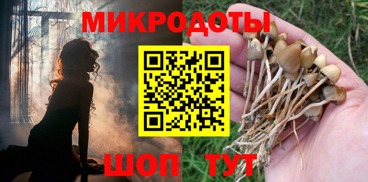 Галлюциногенные грибы Psilocybine cubensis Армавир