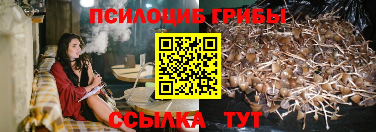 Армавир  Галлюциногенные грибы Magic Shrooms  Вход с VPN  Псилоцибиновые грибы Cubensis 